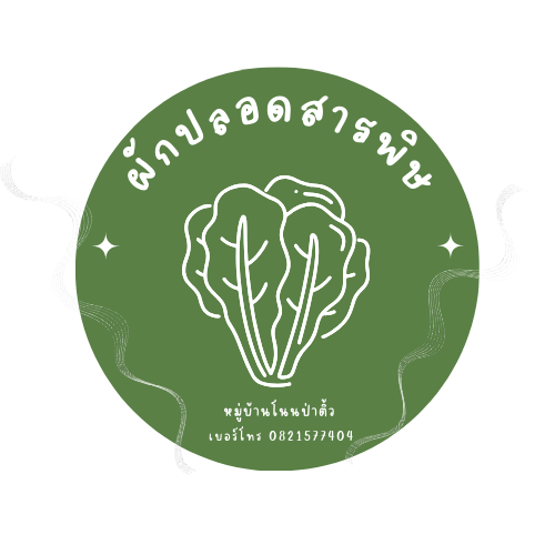 Website selling organic vegetables (case study)